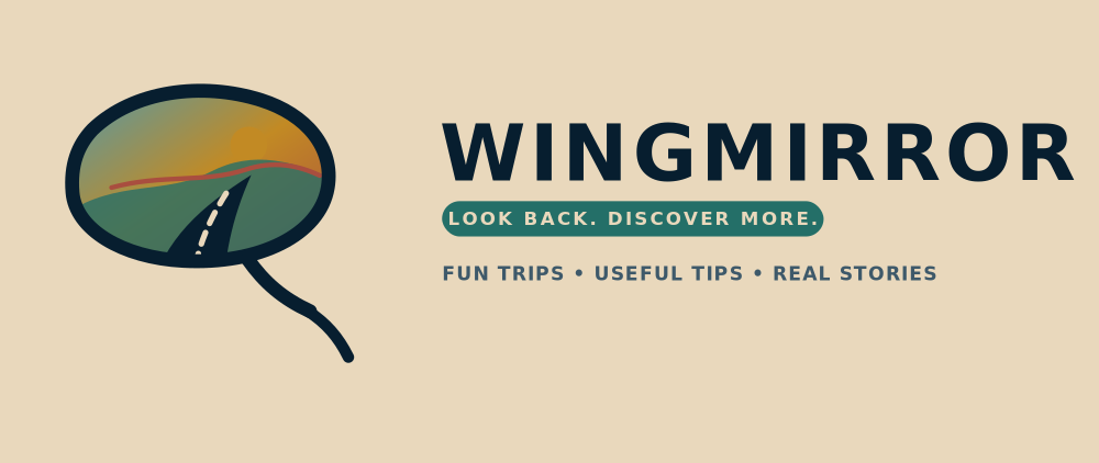 Wingmirror logo